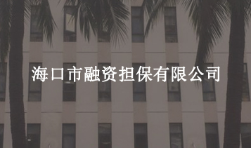 ?？谑腥谫Y擔(dān)保有限公司
